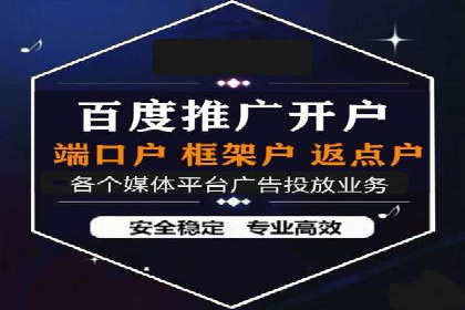 专业SEM运营托管服务案例分析